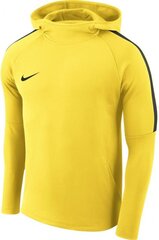 Džemperis Nike Dry Academy 18 PO M AH9608-719, geltonas kaina ir informacija | Futbolo apranga ir kitos prekės | pigu.lt