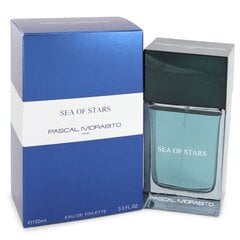 Туалетная вода для мужчин Pascal Morabito Sea of Stars EDT 100 мл цена и информация | Мужские духи | pigu.lt