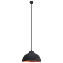 Eglo подвесной светильник Truro 2 49247 цена и информация | Люстры | pigu.lt