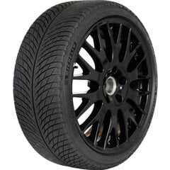 MICHELIN Pilot Alpin 5 245/45 18 100V цена и информация | Зимняя резина | pigu.lt