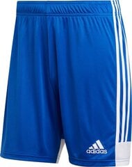 Шорты Adidas Tastigo 19, синие цена и информация | Футбольная форма и другие товары | pigu.lt