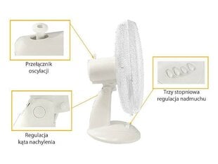 Stalo ventiliatorius WT03 40W 16 baltas цена и информация | Вентиляторы | pigu.lt
