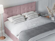 Lova Mazzini Beds Echaveria 160x200 cm, rožinė kaina ir informacija | Lovos | pigu.lt