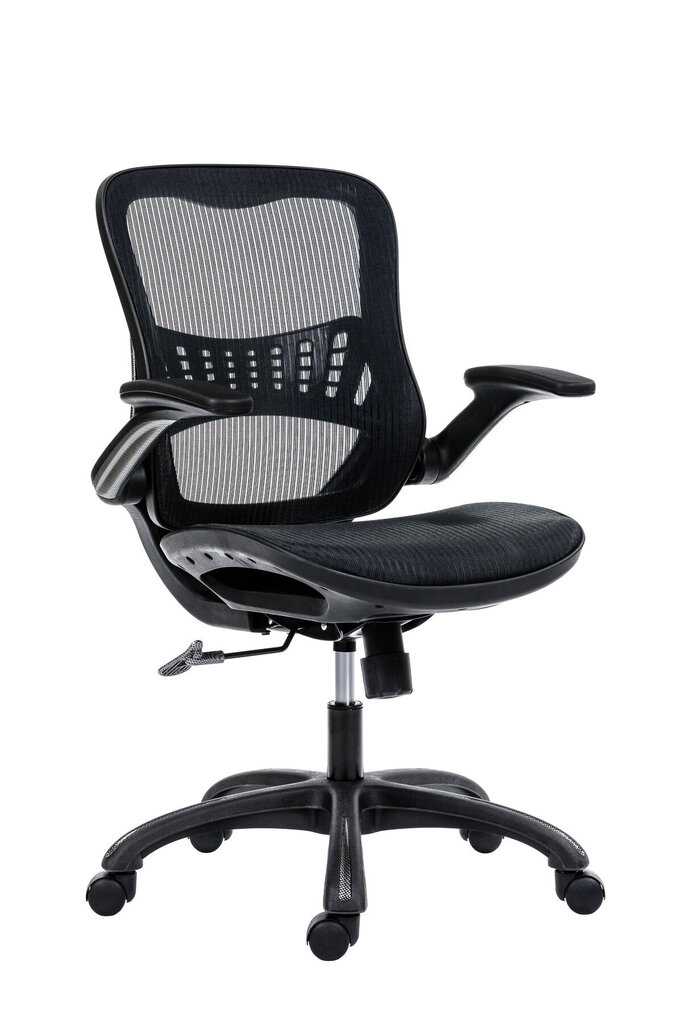 Biuro kėdė Wood Garden Dream, juoda kaina ir informacija | Biuro kėdės | pigu.lt