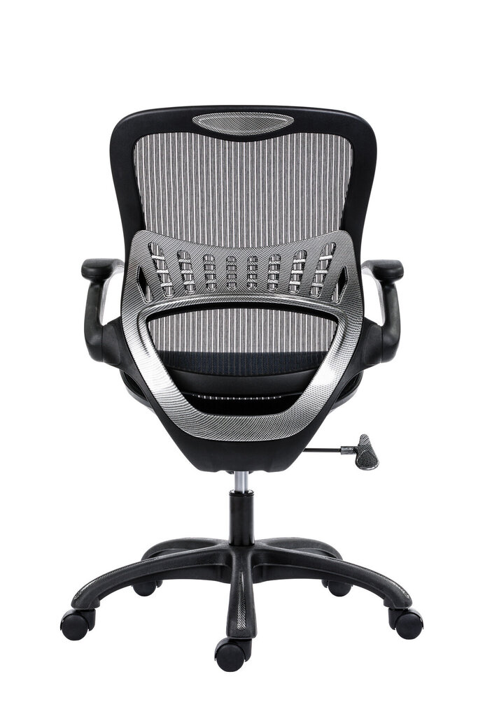 Biuro kėdė Wood Garden Dream, juoda kaina ir informacija | Biuro kėdės | pigu.lt