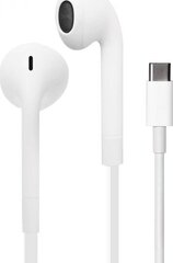 Puro Icon Stereo, USB-C, white, IPHF27USBCWHI kaina ir informacija | Ausinės | pigu.lt