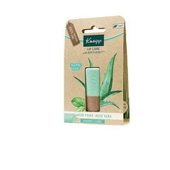 Lūpų balzamasKneipp Hydro Care Lip Balm, Aloe Vera, 4.7 g kaina ir informacija | Lūpų dažai, blizgiai, balzamai, vazelinai | pigu.lt