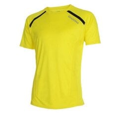 Marškinėliai vyrams Diadora Team kaina ir informacija | Sportinė apranga vyrams | pigu.lt