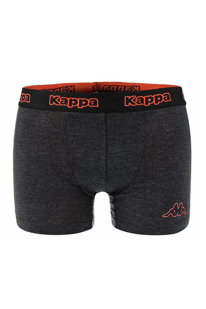 Trumpikės vyrams Kappa Boxers 2 vnt цена и информация | Trumpikės | pigu.lt