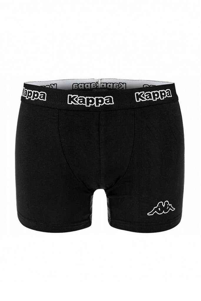 Trumpikės vyrams Kappa Boxers 2 vnt kaina ir informacija | Trumpikės | pigu.lt