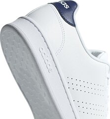 Sportiniai bateliai vyrams Adidas Advantage M F36423, 55881, balti kaina ir informacija | Kedai vyrams | pigu.lt