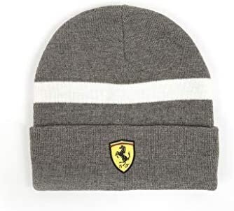 Kepurė vyrams Ferrari kaina ir informacija | Vyriški šalikai, kepurės, pirštinės | pigu.lt