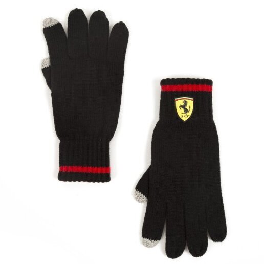 Pirštinės vyrams Ferrari, juodos kaina ir informacija | Vyriški šalikai, kepurės, pirštinės | pigu.lt