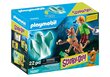 70287 PLAYMOBIL® Scooby-Doo! Scooby, Shaggy ir vaiduoklis kaina ir informacija | Konstruktoriai ir kaladėlės | pigu.lt