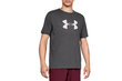 Sportiniai marškinėliai Under Armour Big Logo SS Tee M 1329583 019, 61374 kaina ir informacija | Sportinė apranga vyrams | pigu.lt