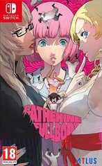 Catherine: Full Body NSW цена и информация | Компьютерные игры | pigu.lt