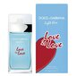 Tualetinis vanduo Dolce & Gabbana Light Blue Love Is Love Women EDT moterims 50 ml цена и информация | Kvepalai moterims | pigu.lt