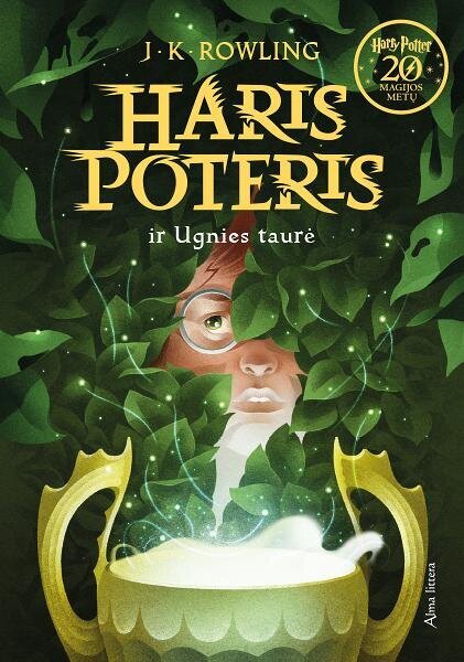 Haris Poteris ir Ugnies taurė. 4 dalis цена и информация | Knygos paaugliams ir jaunimui | pigu.lt
