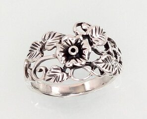 Серебряное кольцо цена и информация | Кольцо | pigu.lt