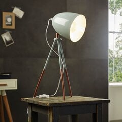 Eglo настольная лампа Dundee 49337 цена и информация | Настольные светильники | pigu.lt