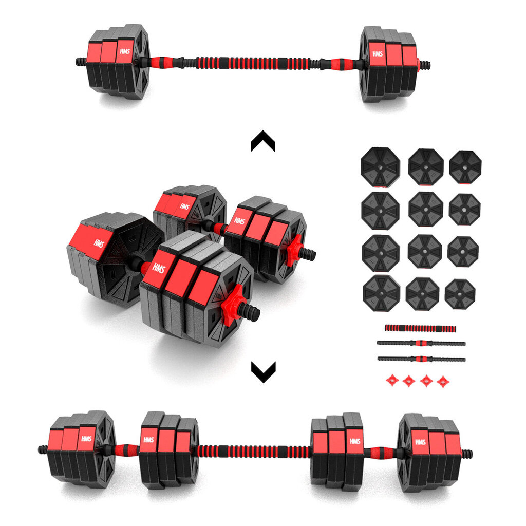 Svorių ir grifo rinkinys HMS SGC20, 20 kg цена и информация | Svoriai, svarmenys, štangos | pigu.lt