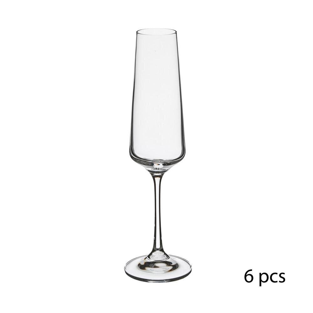 Taurė šampanui Selenga, 16 ml kaina ir informacija | Taurės, puodeliai, ąsočiai | pigu.lt