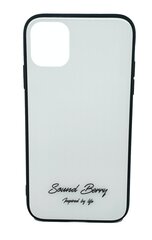 Чехол TEMPERED GLASS SoundBerry для Samsung Galaxy S9 цена и информация | Чехлы для телефонов | pigu.lt