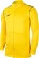Nike vyriškas džemperis Dry Park 20 BV6885 719, geltonas kaina ir informacija | Džemperiai vyrams | pigu.lt