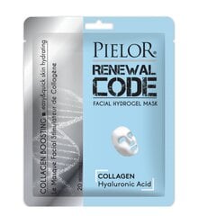 Lakštinė veido kaukė Pielor Renewal Code Collagen Boosting, 25ml цена и информация | Маски для лица, патчи для глаз | pigu.lt