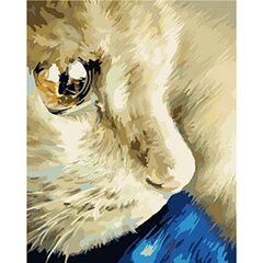 Набор для рисования по номерам «Кошачий взгляд» 40x50 цена и информация | Набор для рисования по номерам | pigu.lt