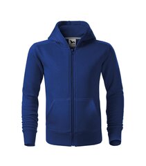 Спортивный свитер Trendy Zipper для детей, ярко-синий цена и информация | Свитеры, жилетки, пиджаки для мальчиков | pigu.lt