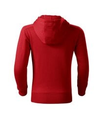 Спортивный свитер Trendy Zipper для детей, красный цена и информация | Свитеры, жилетки, пиджаки для мальчиков | pigu.lt