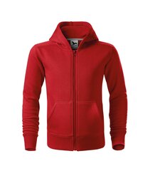 Спортивный свитер Trendy Zipper для детей, красный цена и информация | Свитеры, жилетки, пиджаки для мальчиков | pigu.lt