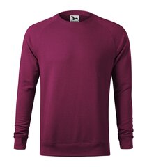 Спортивный свитер Merger для мужчин, красный цена и информация | Мужские толстовки | pigu.lt