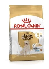 Royal Canin Labrador Ageing 5+ сухой корм, 12kg цена и информация |  Сухой корм для собак | pigu.lt
