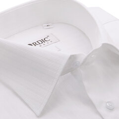 Мужская рубашка NORDIC, приталенный силуэт с длинным рукавом цена и информация | Мужские рубашки | pigu.lt