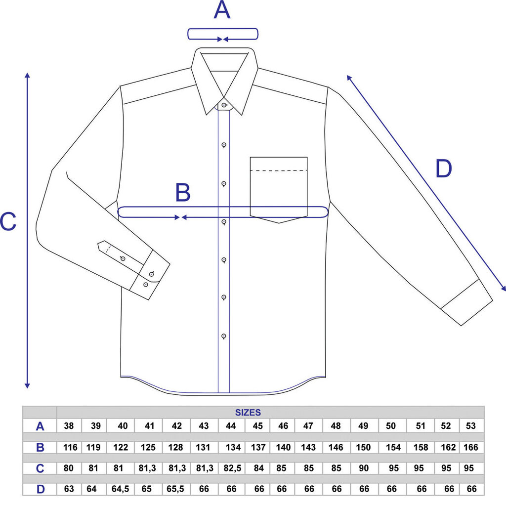 Dryžuoti marškiniai ilgomis rankovėmis vyrams Nordic, mėlyni kaina ir informacija | Vyriški marškiniai | pigu.lt