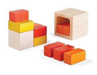 Priemonė PlanToys Fraction Cubes цена и информация | Развивающие игрушки | pigu.lt