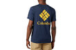 Sportiniai marškinėliai Columbia Maxtrail SS Logo Tee M 1883433464, 61927 цена и информация | Sportinė apranga vyrams | pigu.lt