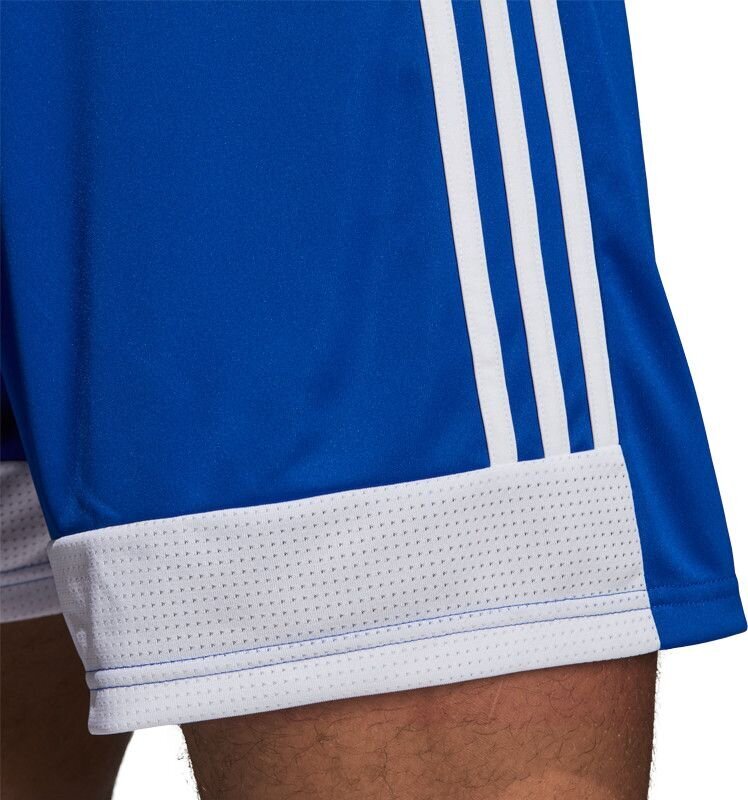 Šortai Adidas Tastigo 19, mėlyni kaina ir informacija | Futbolo apranga ir kitos prekės | pigu.lt