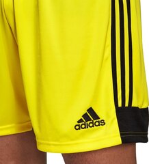 Šortai Adidas Tastigo 19, geltoni kaina ir informacija | Futbolo apranga ir kitos prekės | pigu.lt