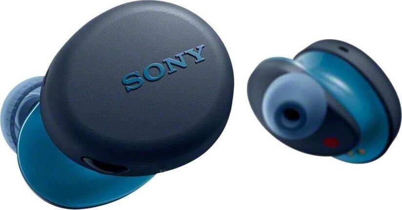 Sony WF-XB700 цена и информация | Ausinės | pigu.lt