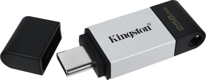 Kingston DataTraveler 256GB USB 3.2 kaina ir informacija | USB laikmenos | pigu.lt