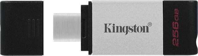 Kingston DataTraveler 256GB USB 3.2 цена и информация | USB laikmenos | pigu.lt