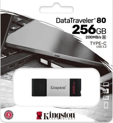 Kingston DataTraveler 256GB USB 3.2 цена и информация | USB laikmenos | pigu.lt