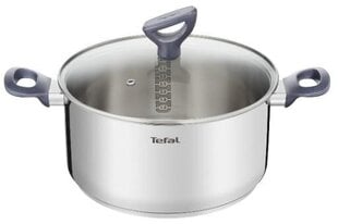 Tefal Daily Cook puodas, 20 cm kaina ir informacija | Puodai, greitpuodžiai | pigu.lt