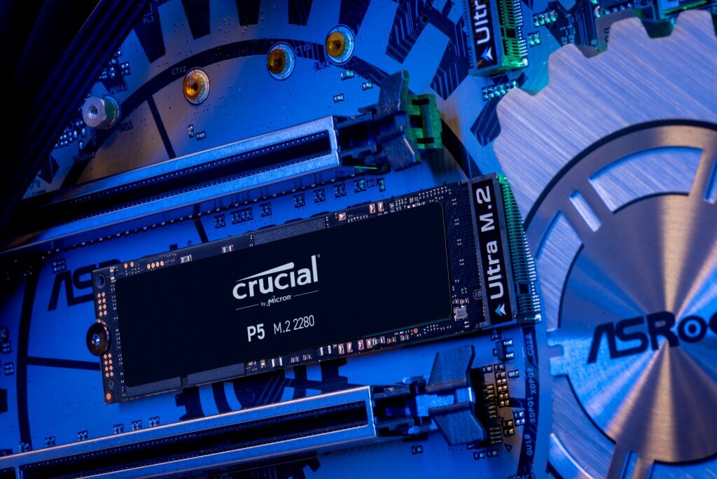 Crucial CT250P5SSD8 kaina ir informacija | Vidiniai kietieji diskai (HDD, SSD, Hybrid) | pigu.lt