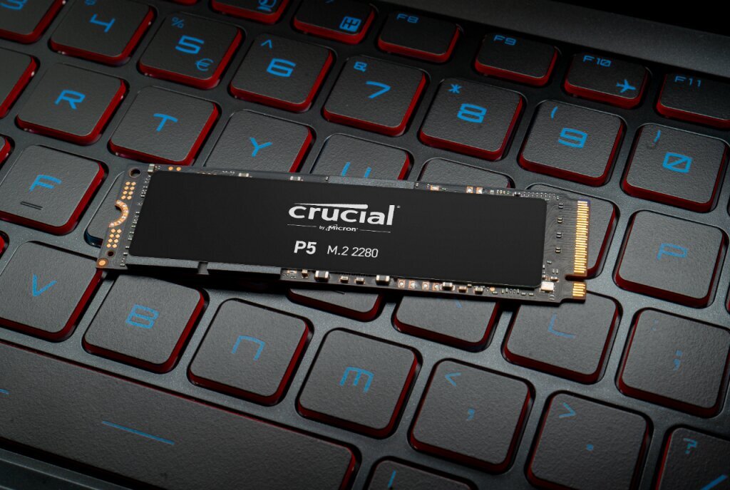 Crucial CT250P5SSD8 цена и информация | Vidiniai kietieji diskai (HDD, SSD, Hybrid) | pigu.lt