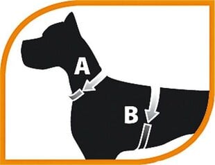 Шлейка для собак Ferplast Daytona, черная, S цена и информация | Ошейники, подтяжки для собак | pigu.lt