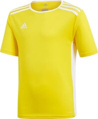 Marškinėliai Adidas TeamWear, geltoni kaina ir informacija | Futbolo apranga ir kitos prekės | pigu.lt